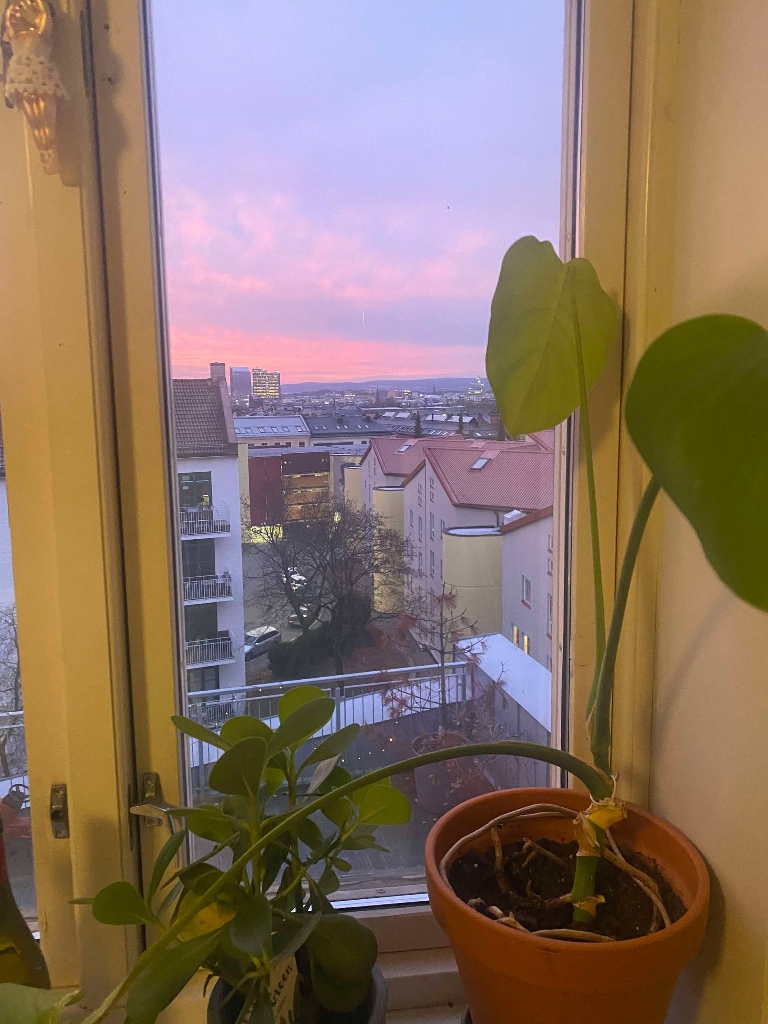 Utsikten Galleribilde