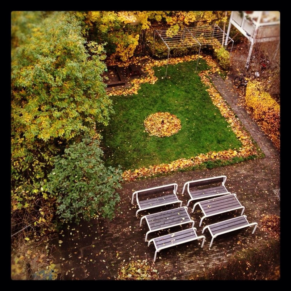 Flott bakgård Galleribilde