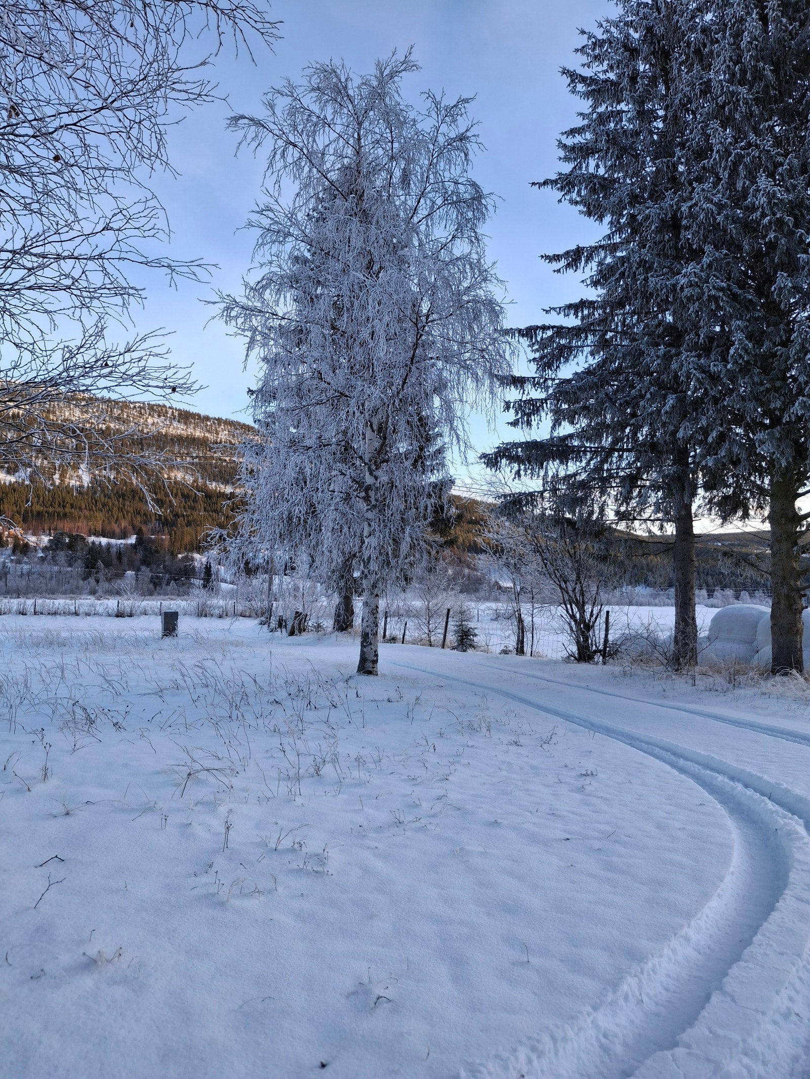 Vinter Galleribilde