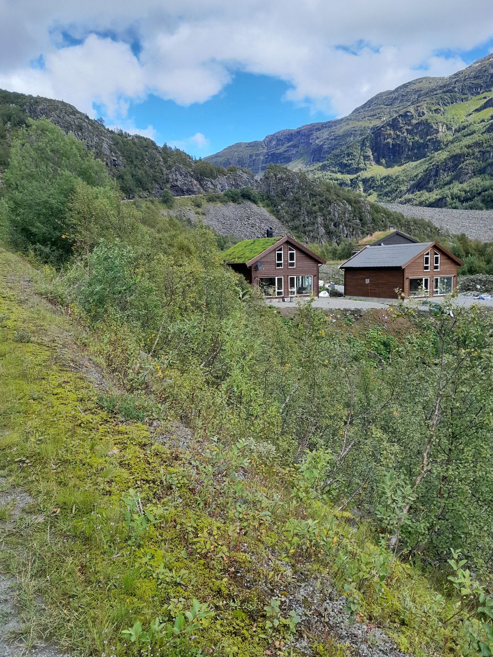 Fra veien Galleribilde