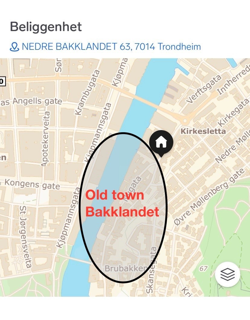 Sentralt Galleribilde