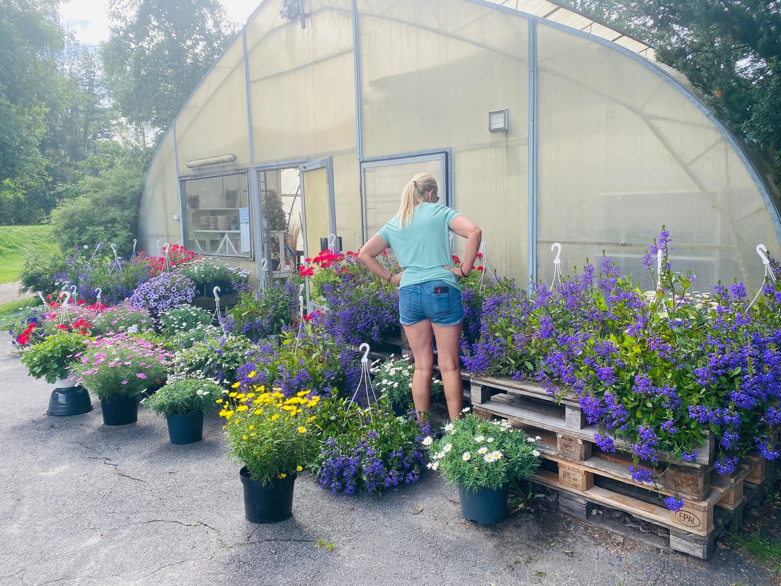 Skontorp Handelsgartneri og besøksgård må oppleves Galleribilde