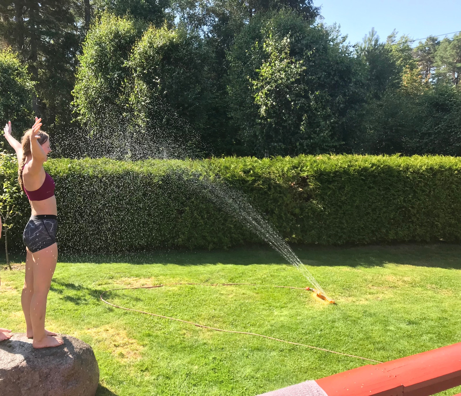 Skjermet hage Galleribilde