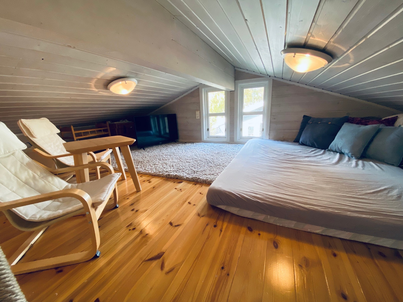 Tv-krok på hemsen Galleribilde