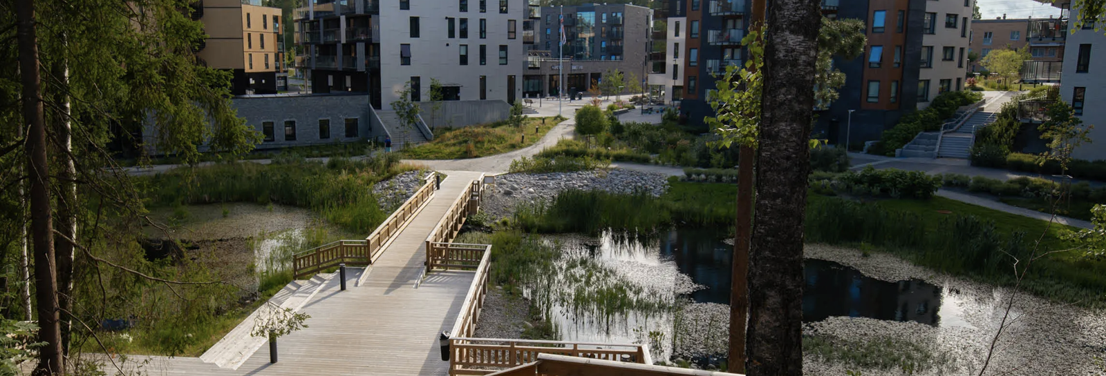 Salamanderdam, en del av uteområdet. Galleribilde