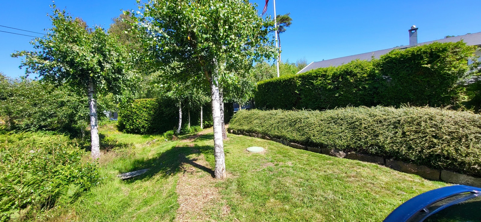 Det er opparbeidet sti fra parkeringsplassen til hytta som skimtes bak hekken Galleribilde