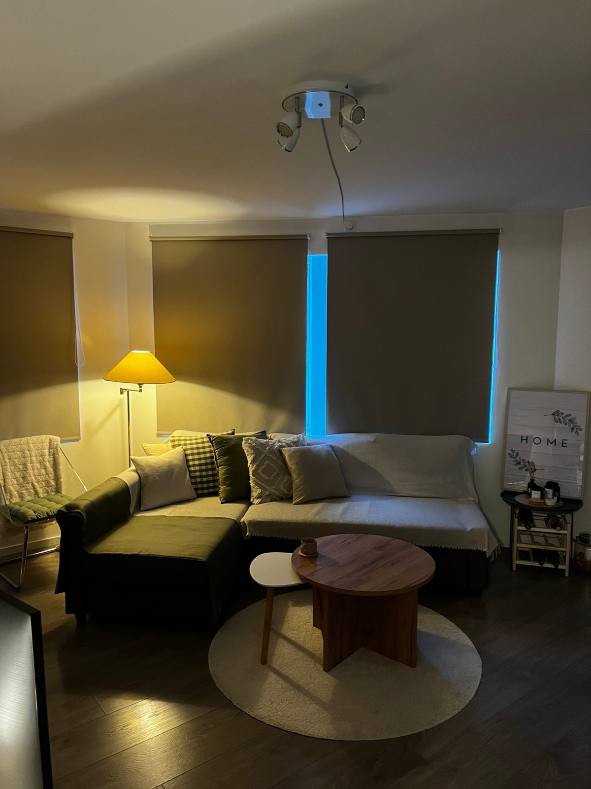 Stue. Store vinduer bak rullgardin Galleribilde