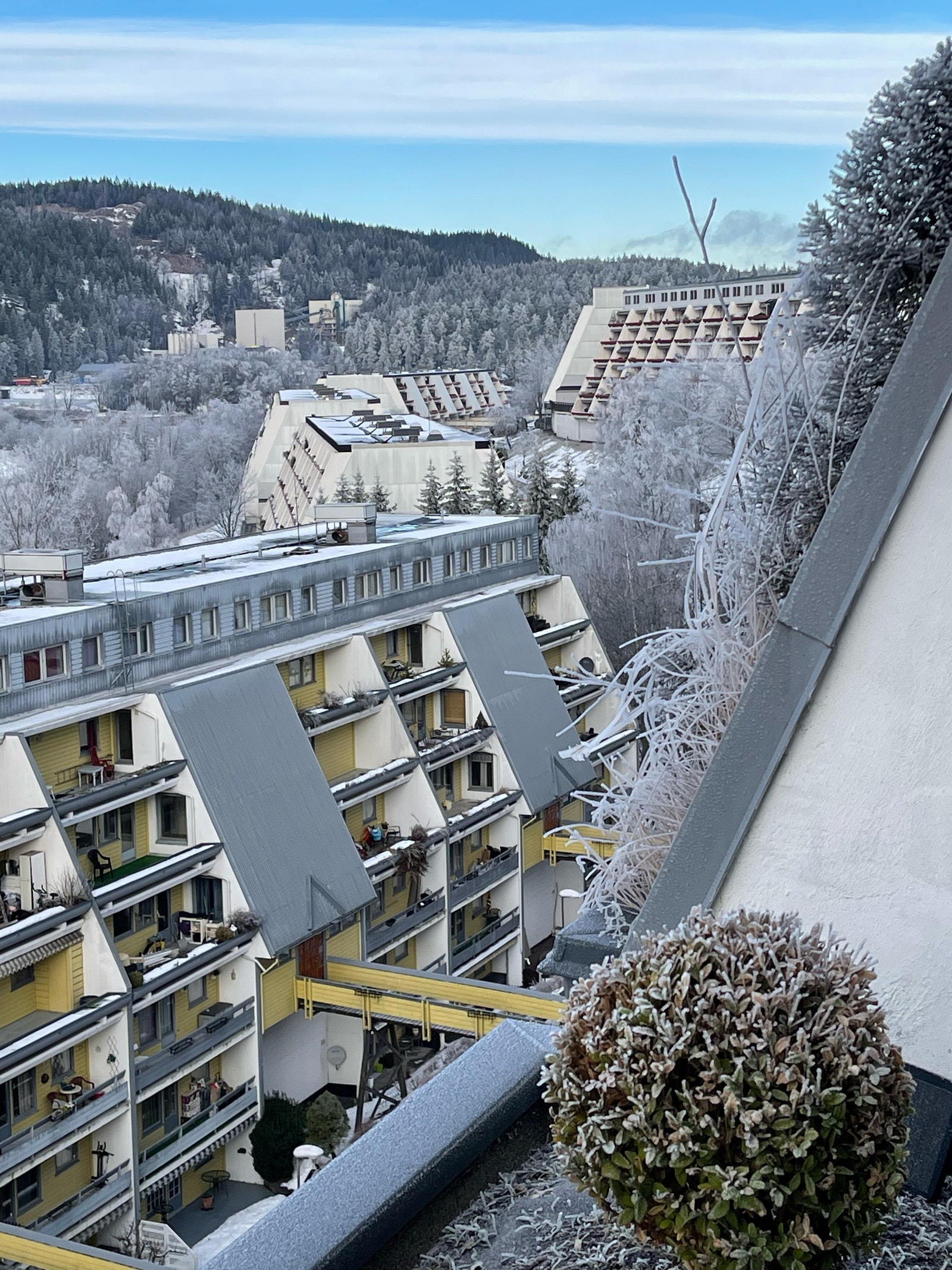 Utsikt i vinter Galleribilde