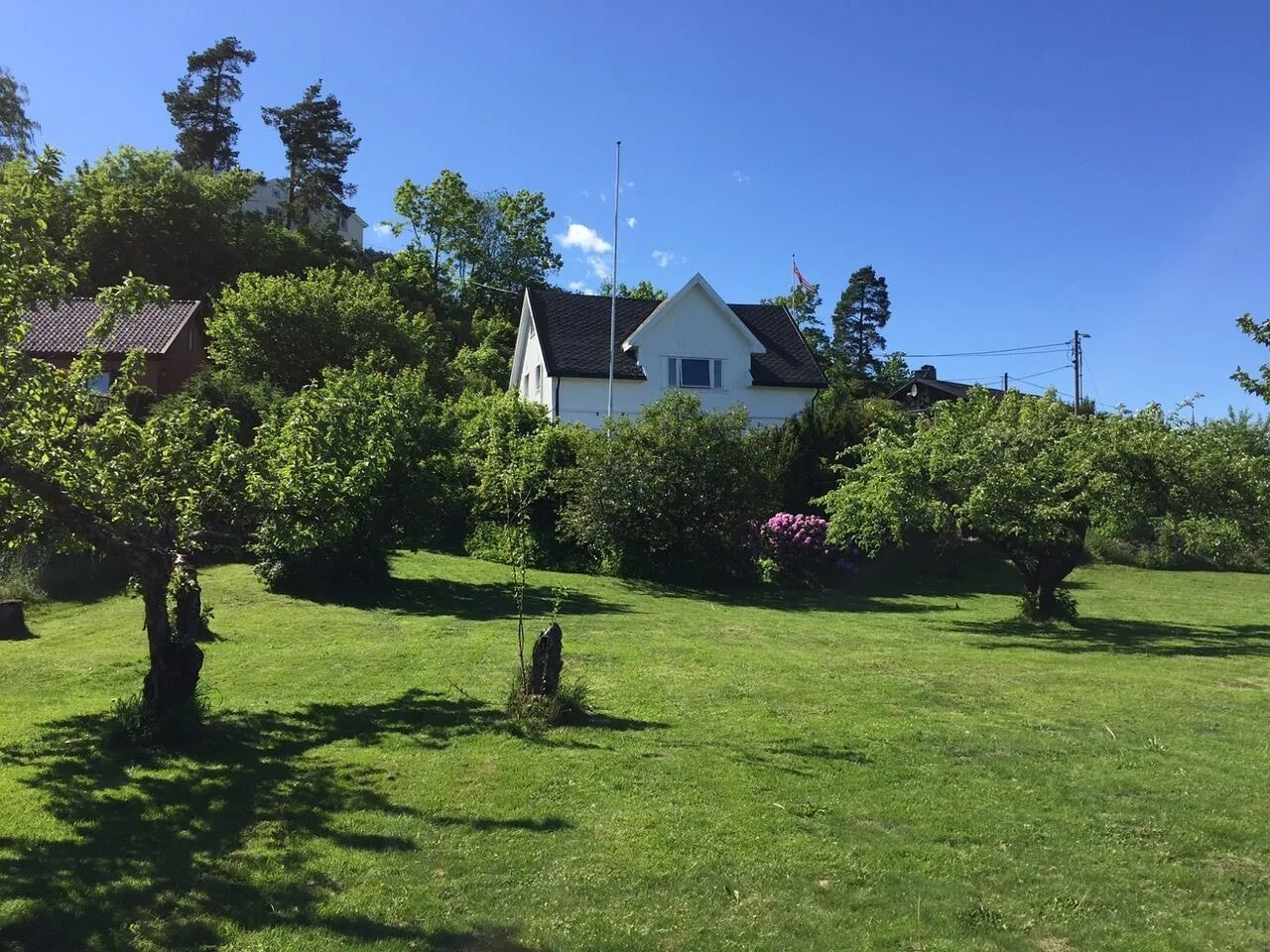 Hus og hage sett fra Fekjan Galleribilde