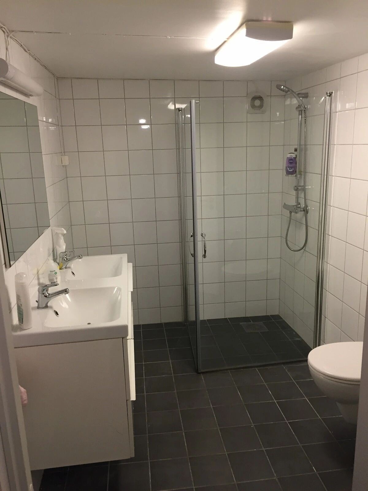 Bathroom downstairs (for those in 1st floor) Galleribilde