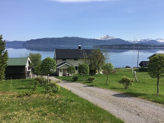 Utsikt øst fra tomt T11 Galleribilde