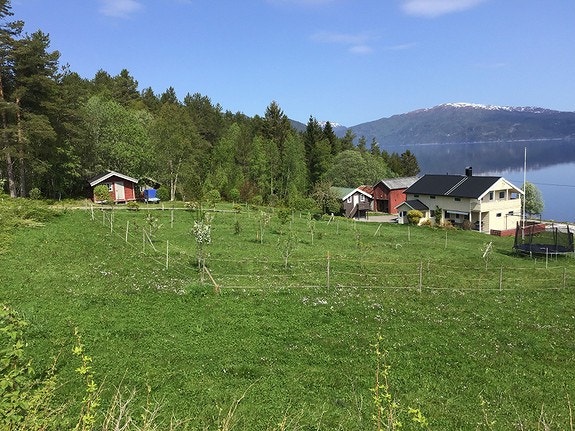 Utsikt vest, tomt T10 i midten, tomt T11 bak ved gamle røde hytta Galleribilde