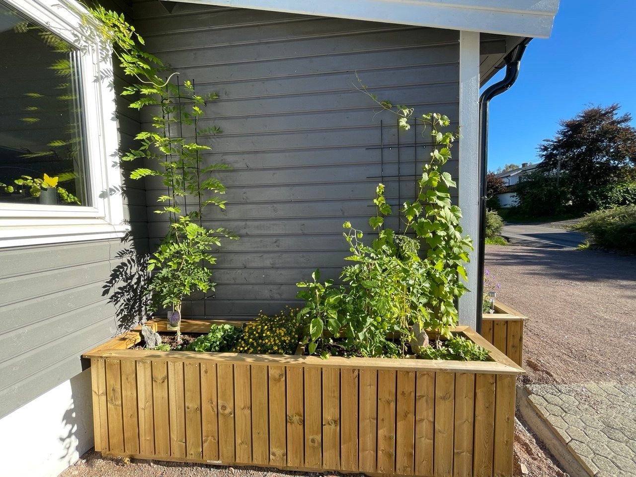 Store blomsterkasser Galleribilde