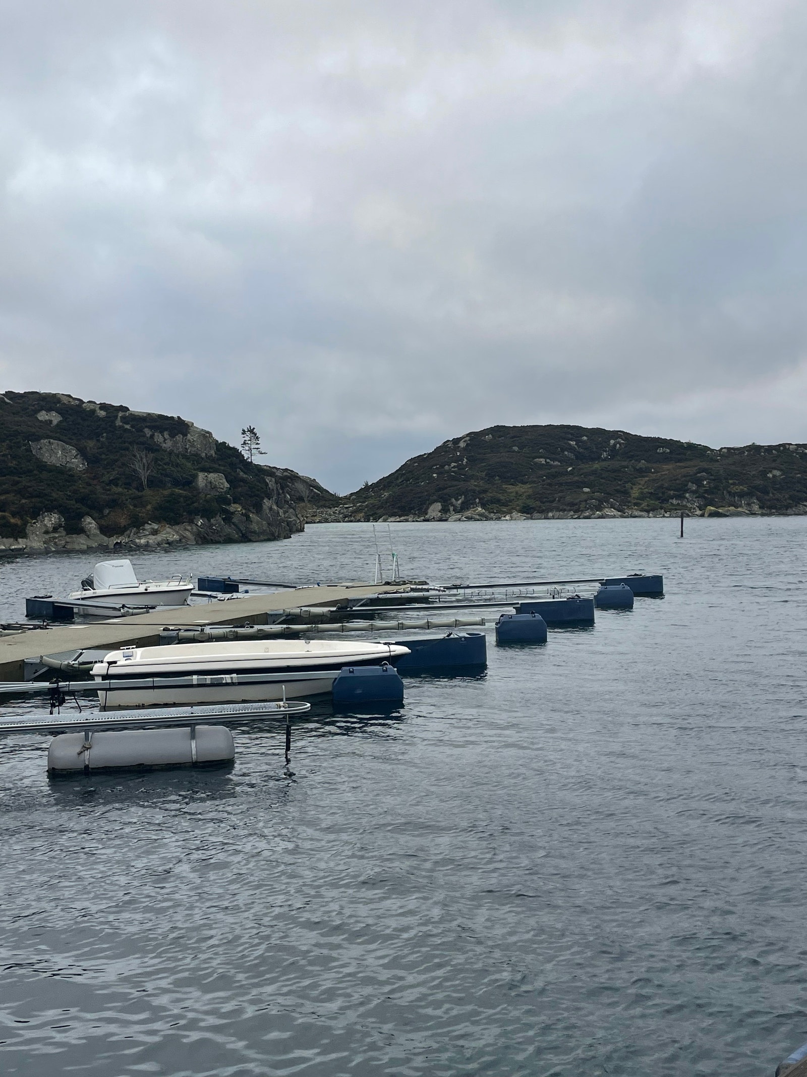 Marina Galleribilde