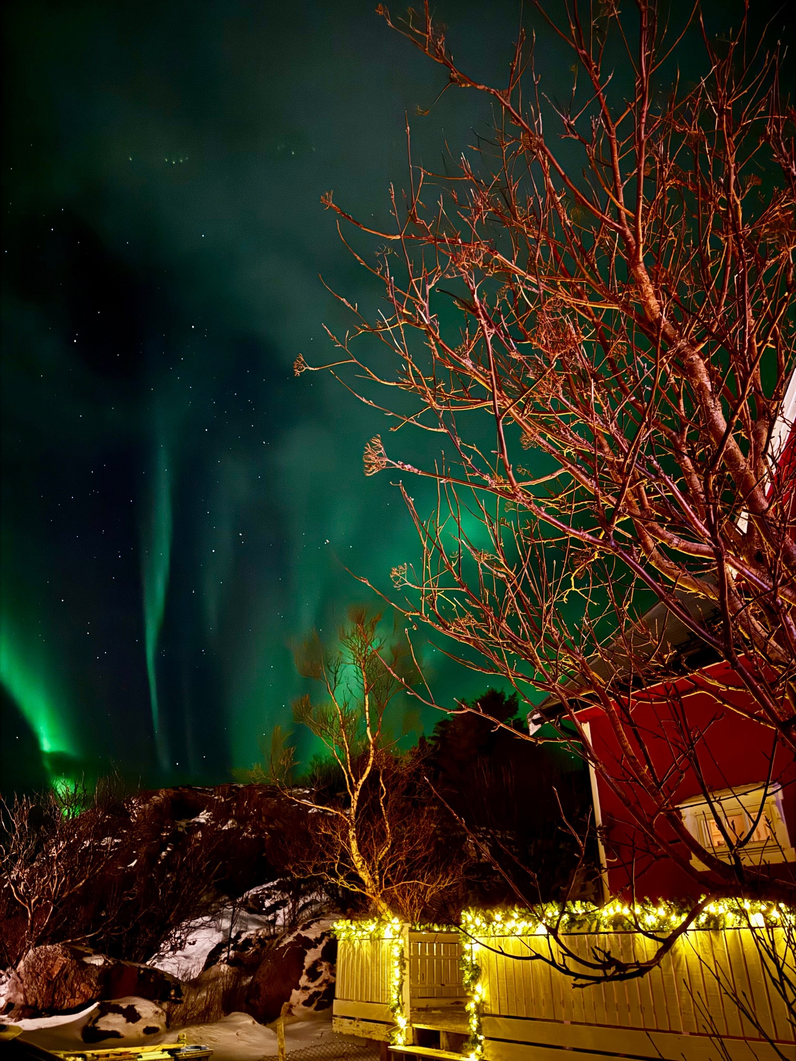 Nordlyset rett utenfor husveggen. Galleribilde