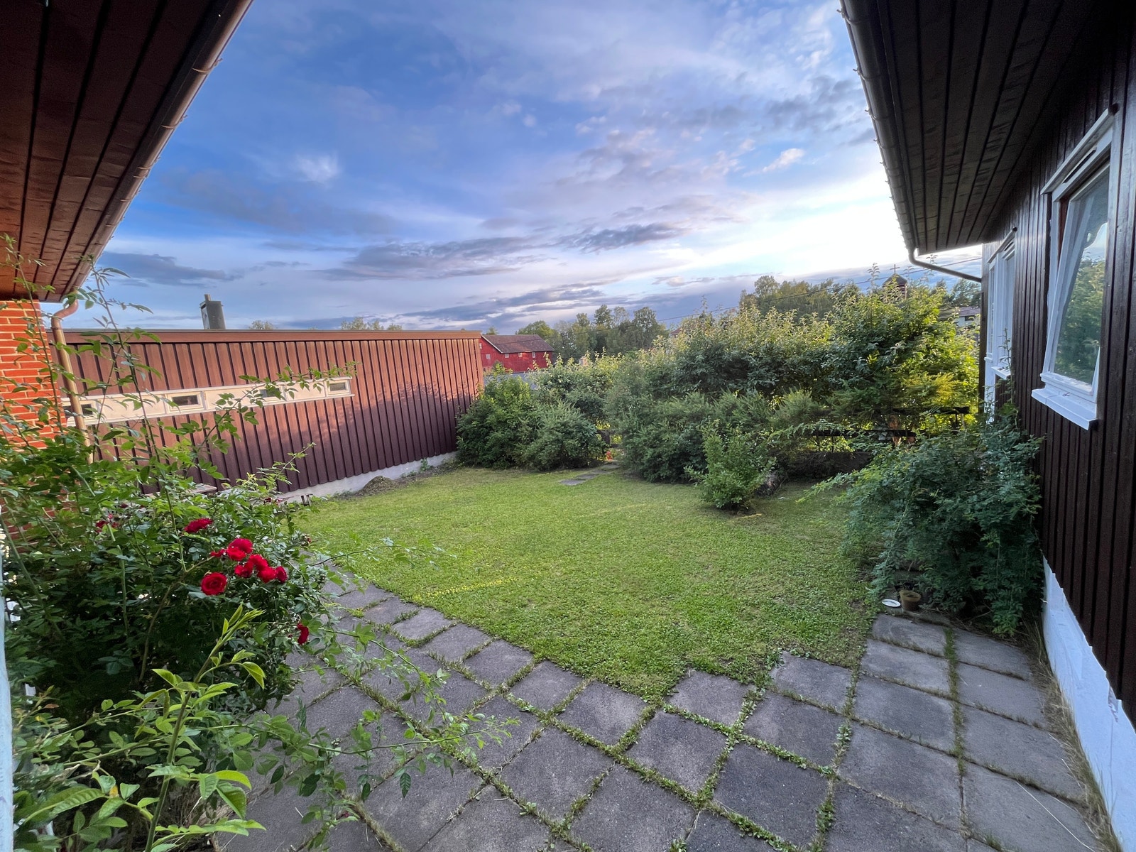 Backyeard Galleribilde