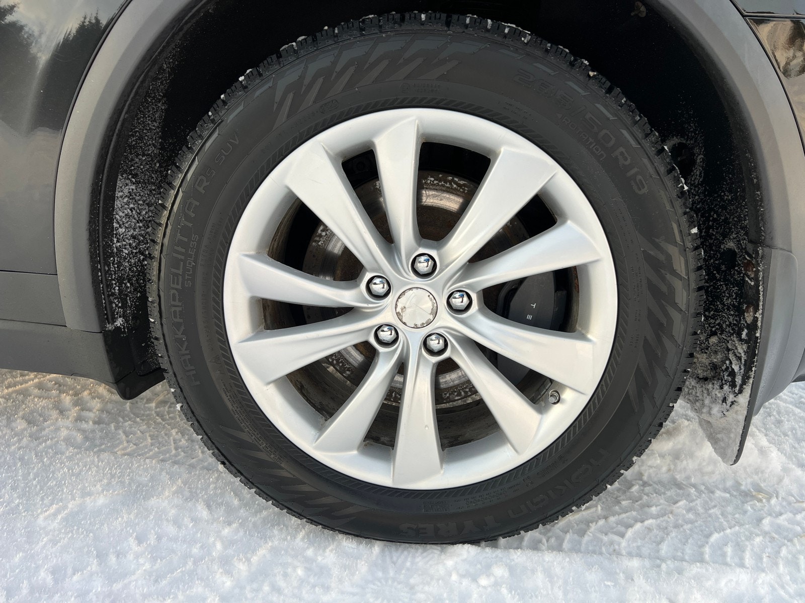 Nokian piggfrie vinterdekk på org Tesla alufelg 19"
