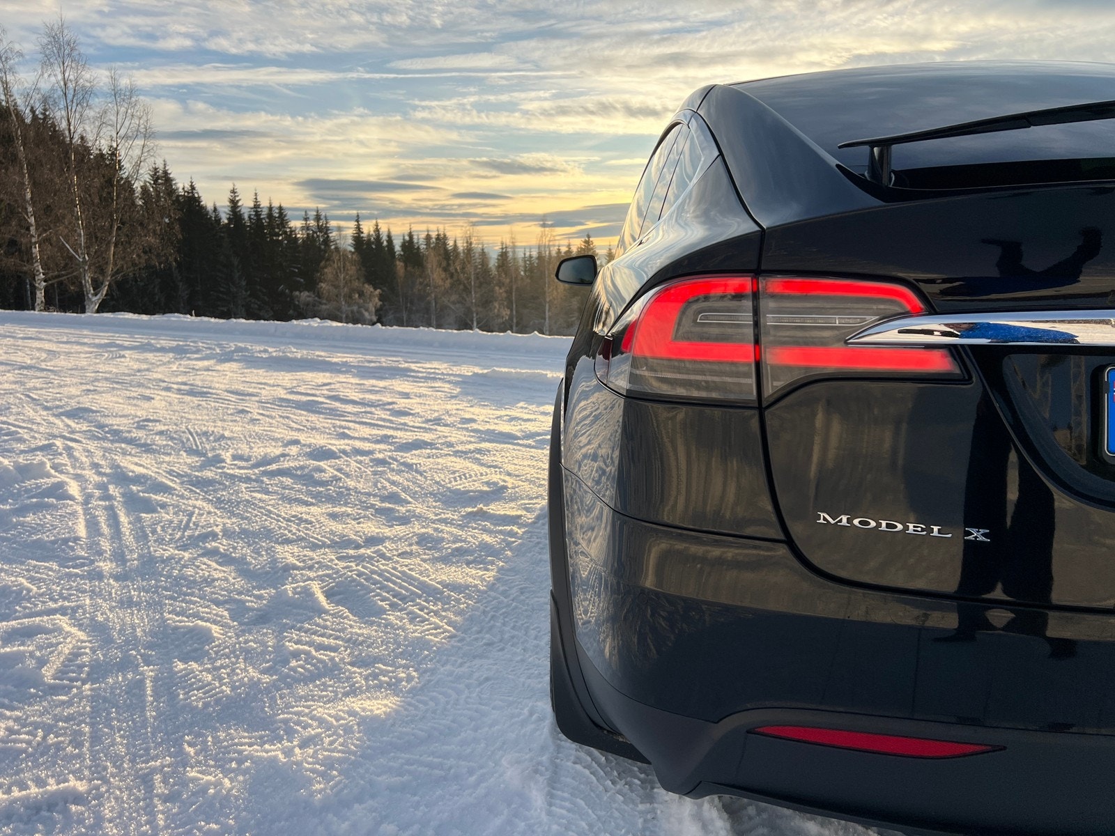 Tesla Model X 10