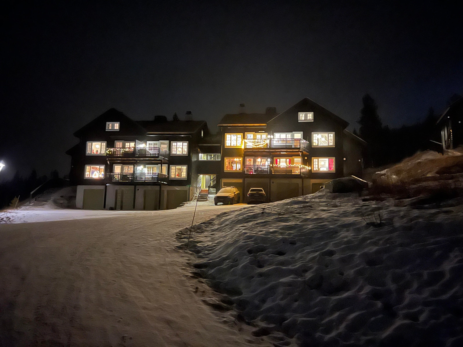 Kveldssjarm Galleribilde