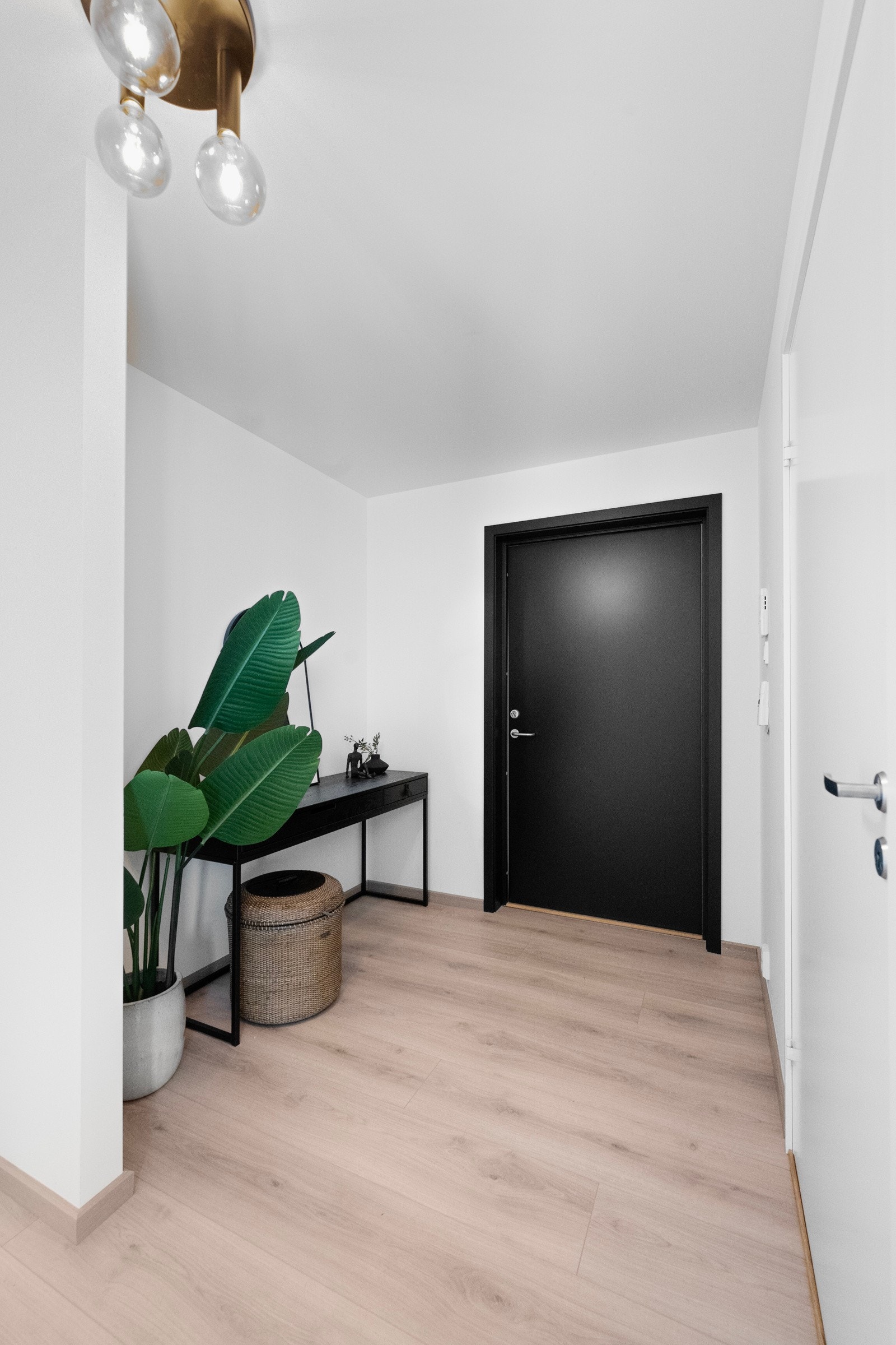 Int_123 Galleribilde