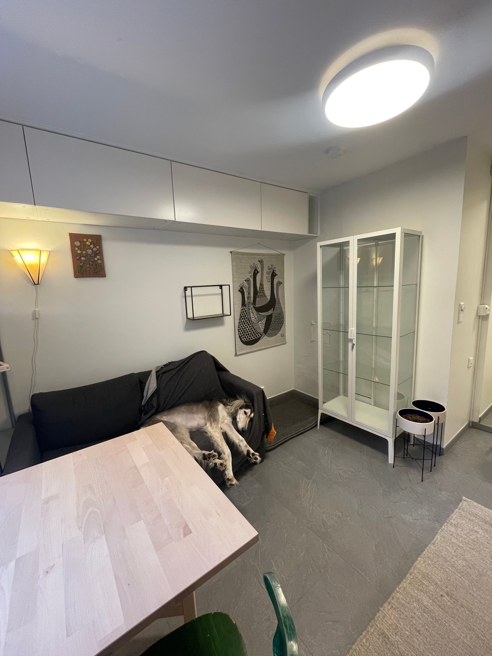 leies ut møblert, bortsett fra hunden og veggteppet Galleribilde