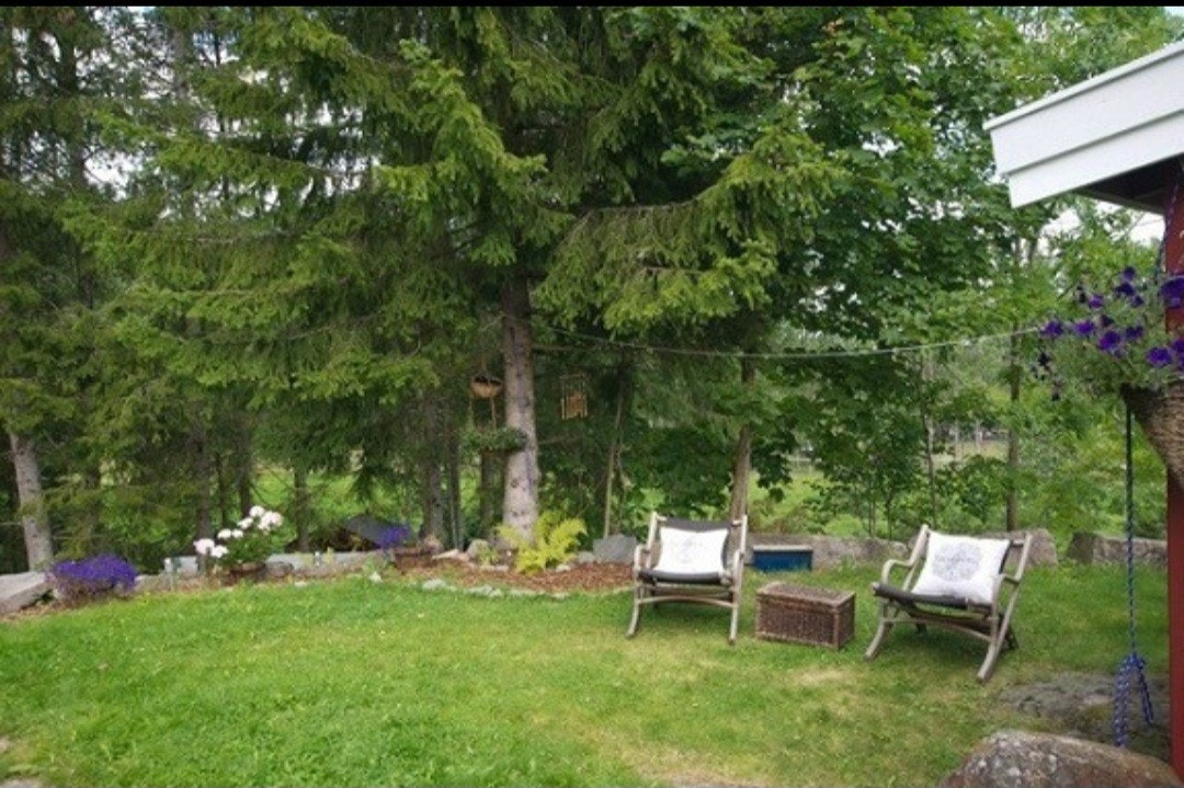 Tilhørende hage Galleribilde