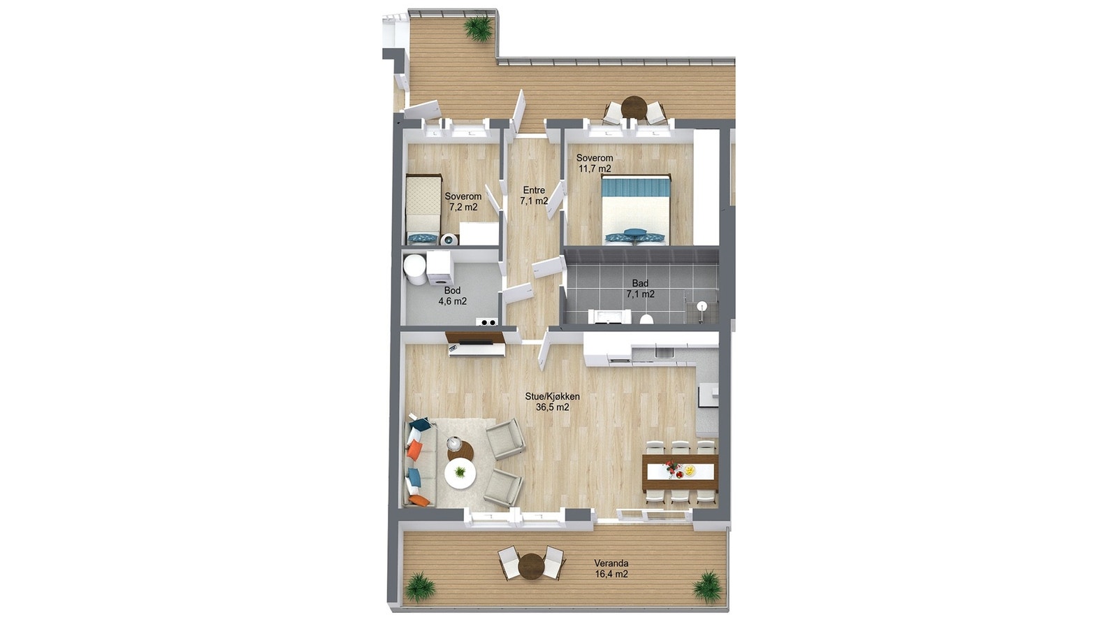 Planillustrasjon bustad Galleribilde