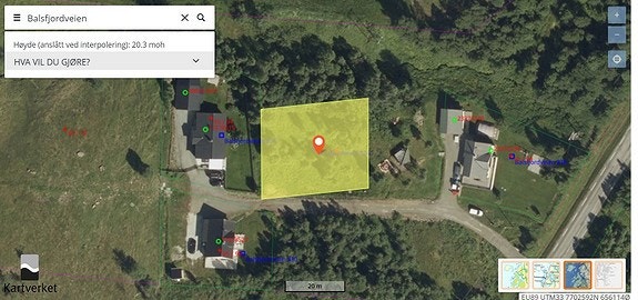 Kartutsnitt av tomta Galleribilde