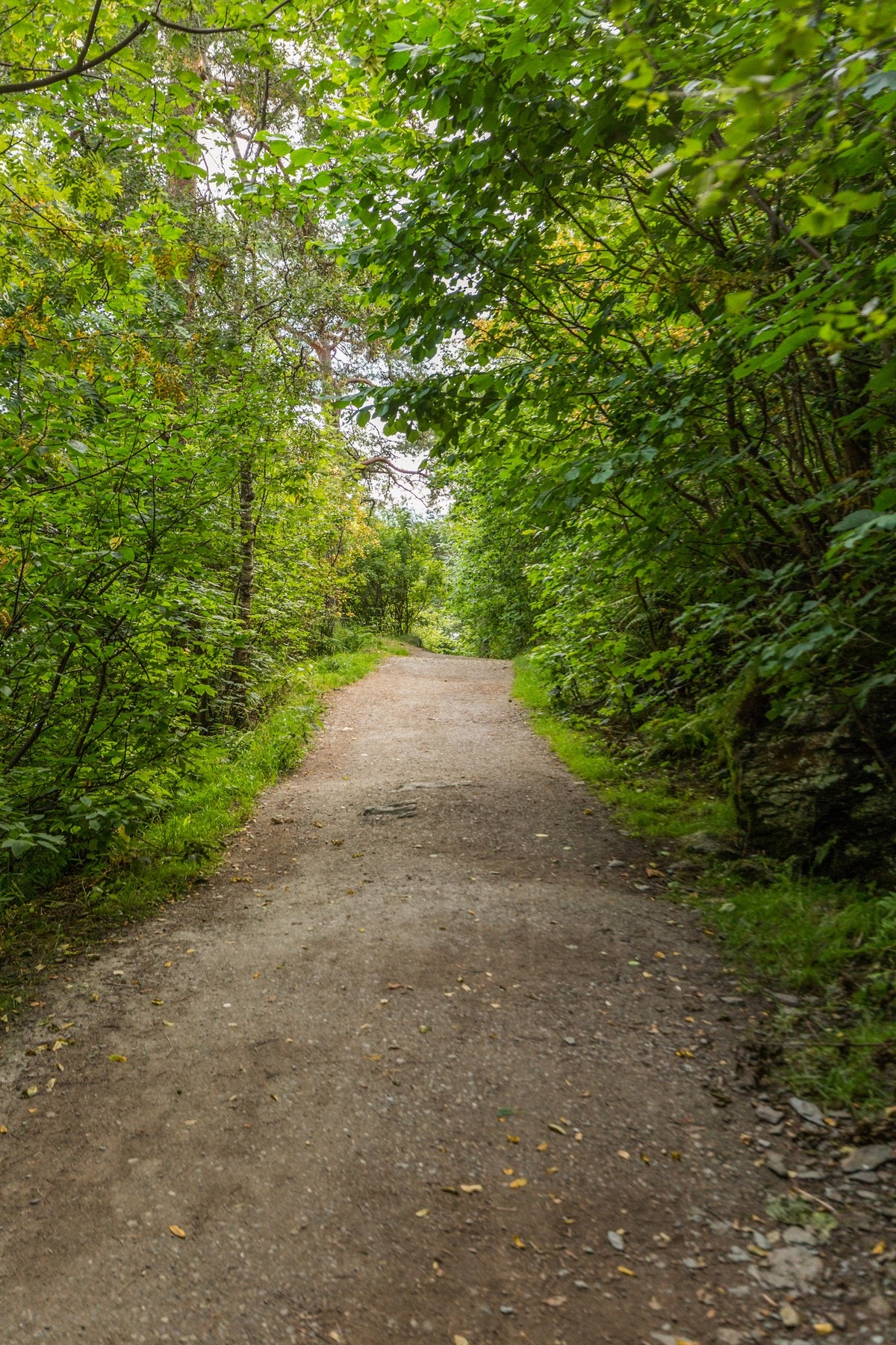 På Lysangen bor man sentralt, samtidig nært skog og natur med kort vei til harmoniske Ladestien. Galleribilde