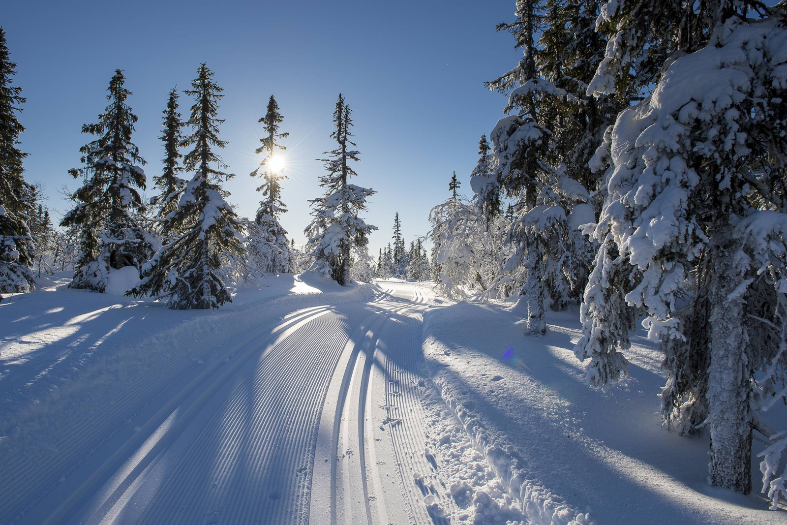 Det er kort veg til skiløyper i Øverbyen skistadion Galleribilde