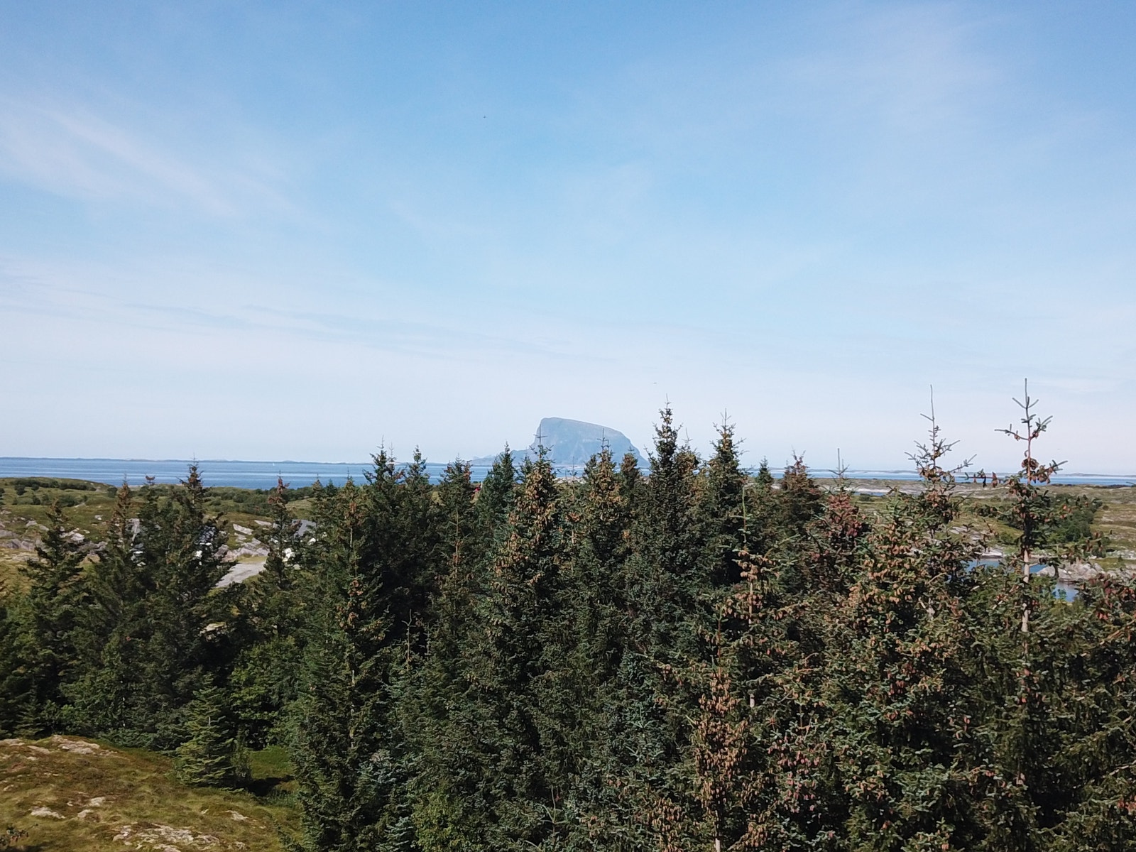 Dronebilde tatt over tomta Galleribilde