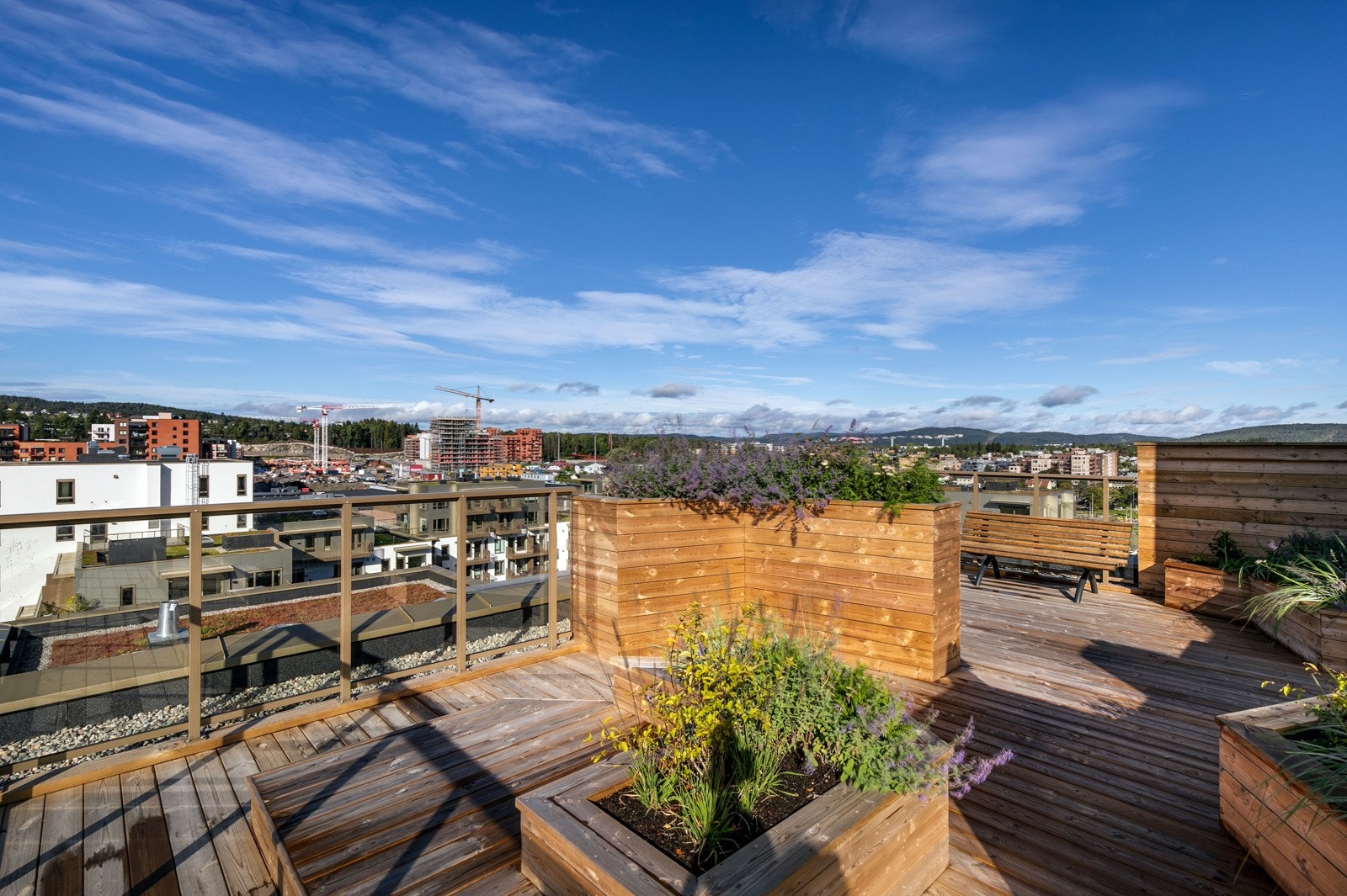 31 Takterrasse copy Galleribilde