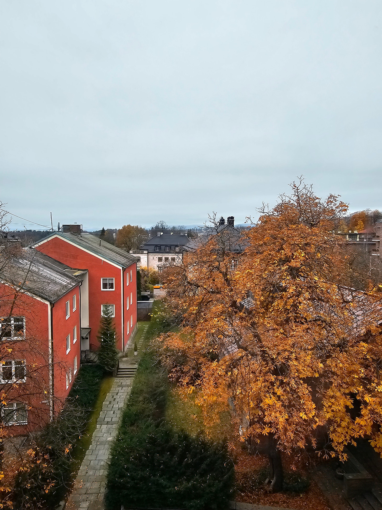 Utsikt vestover Galleribilde