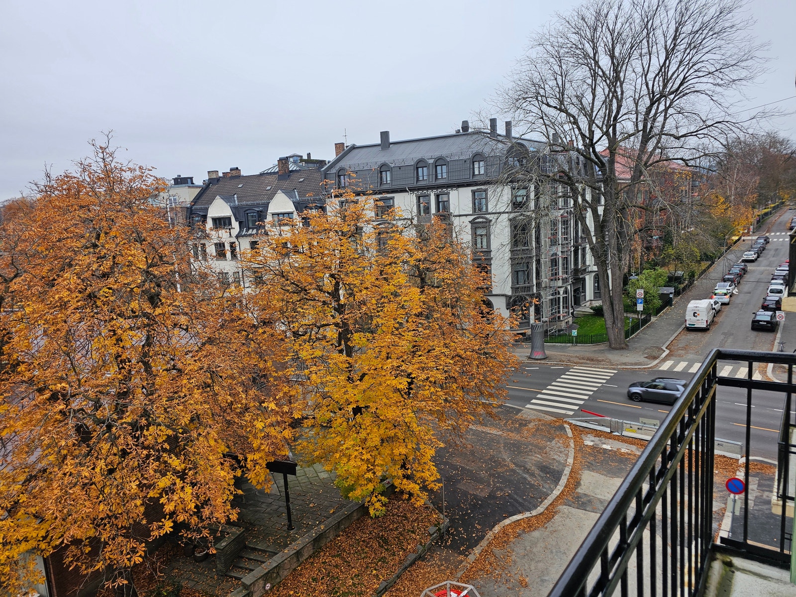 Utsikt til Bygdøy Alle Galleribilde