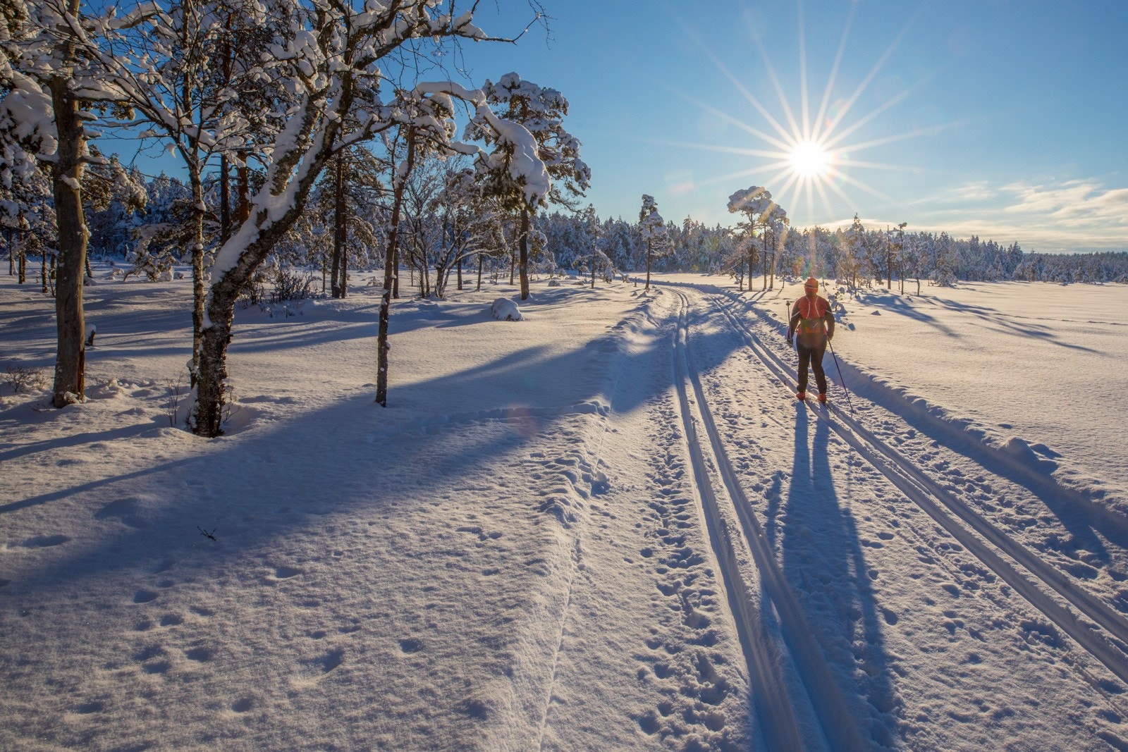 Milelange skiløyper kan nytes i vinterhalvåret. Galleribilde