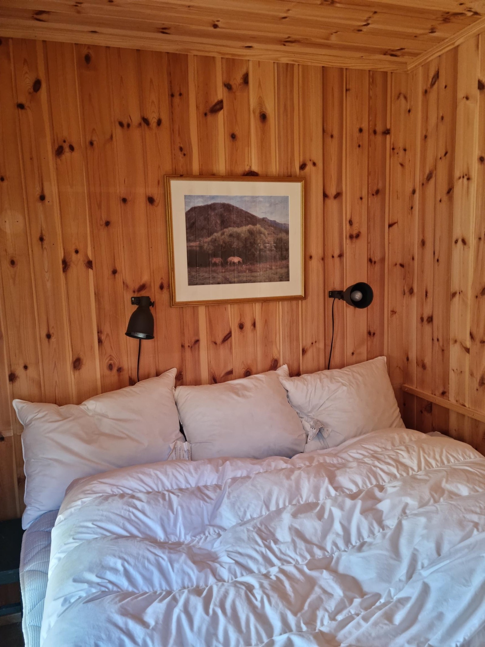 Soverom i anneks Galleribilde