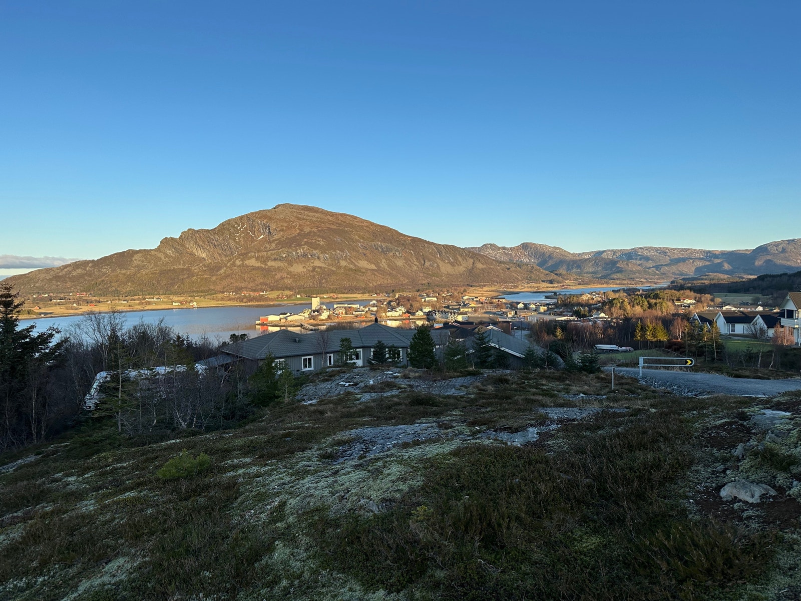 Foto på tomta, mot Nord, Januar 2025 Galleribilde