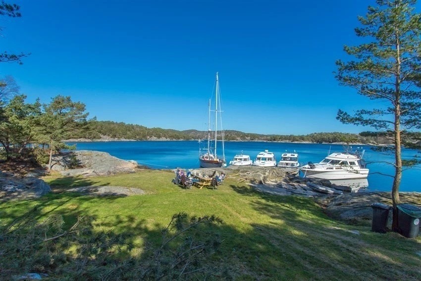 Selvågen friområde Galleribilde