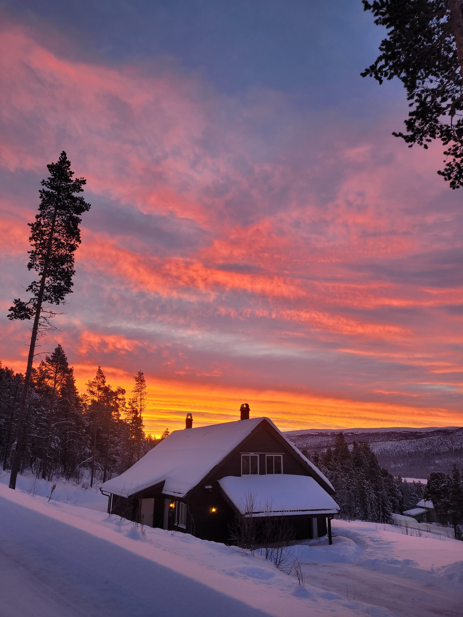 Tomannsboligen i soloppgang Galleribilde