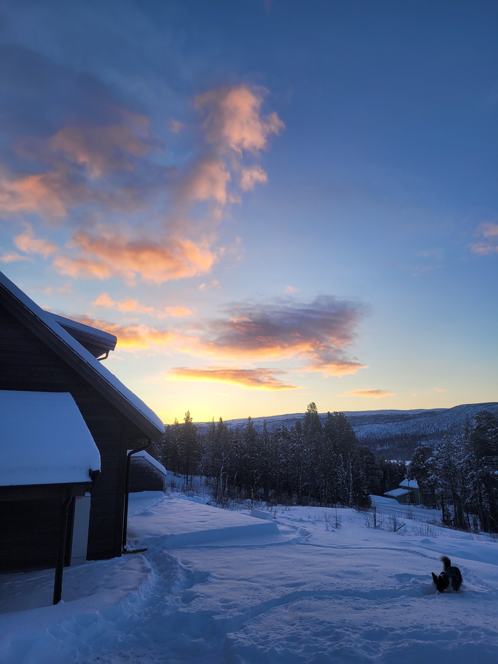 Vinter utenfor Fjelljom 11a Galleribilde