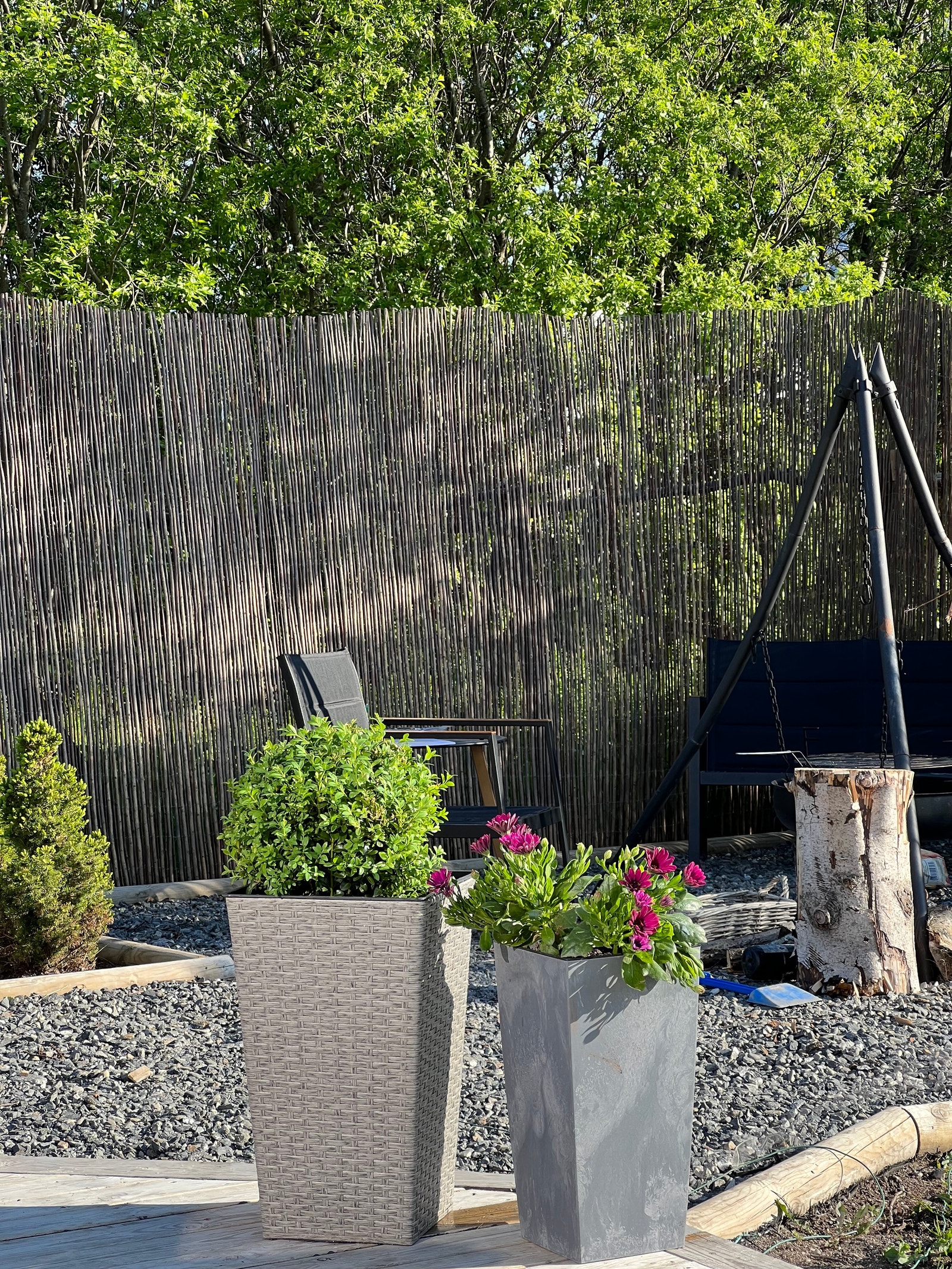 Bål/grillplass sommer Galleribilde