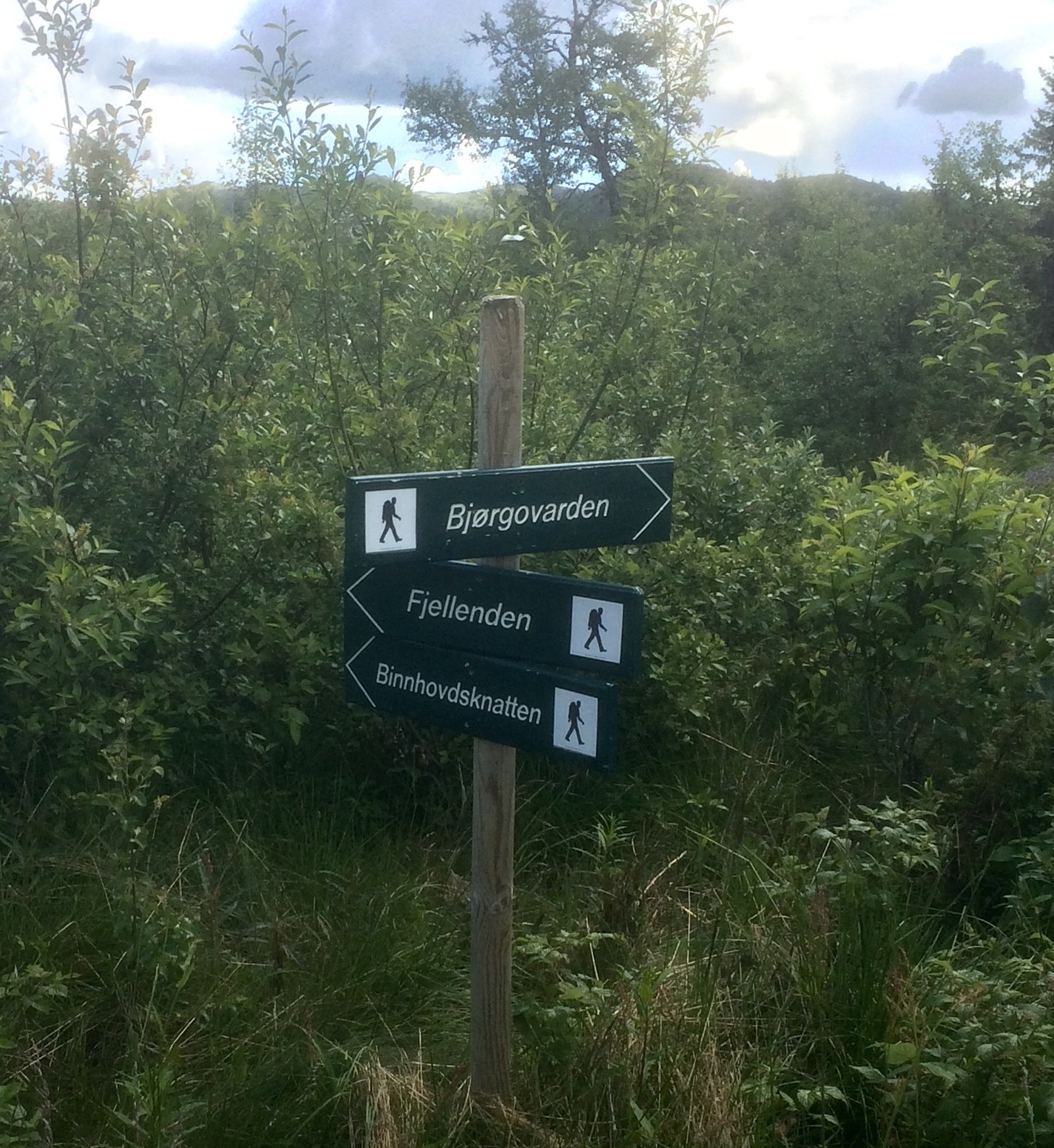 Bare å velge retning og turmål! Galleribilde