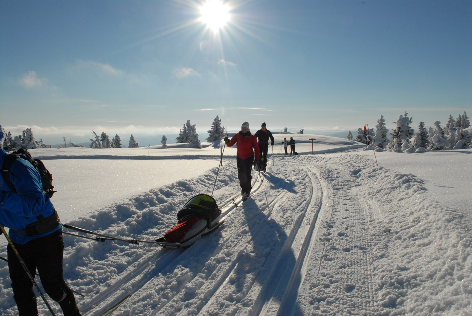 Skiløypene starter rett utenfor hyttedøra Galleribilde
