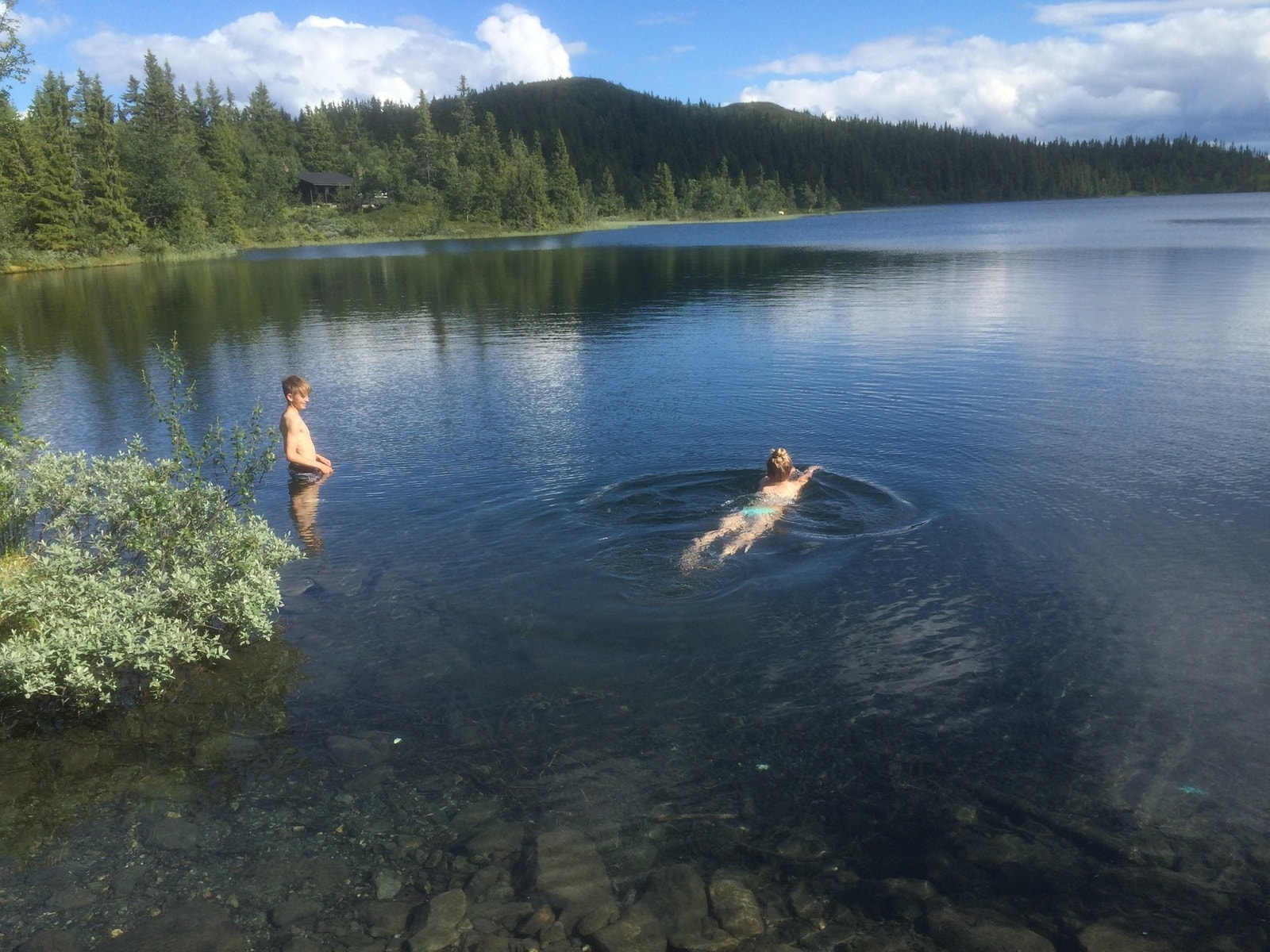 Mange fine fiskevann eller badevann om du vil Galleribilde