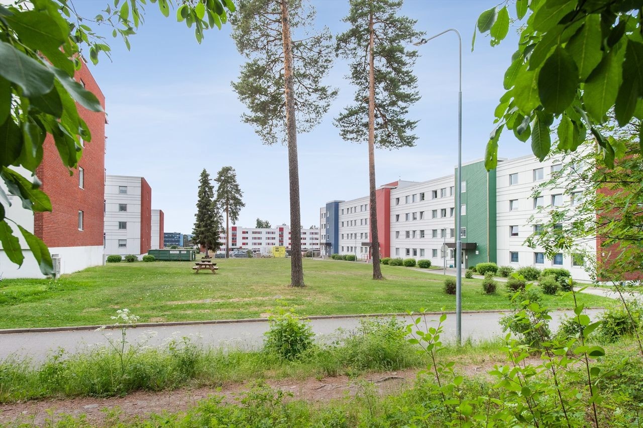 Felles uteområde med grøntarealer Galleribilde