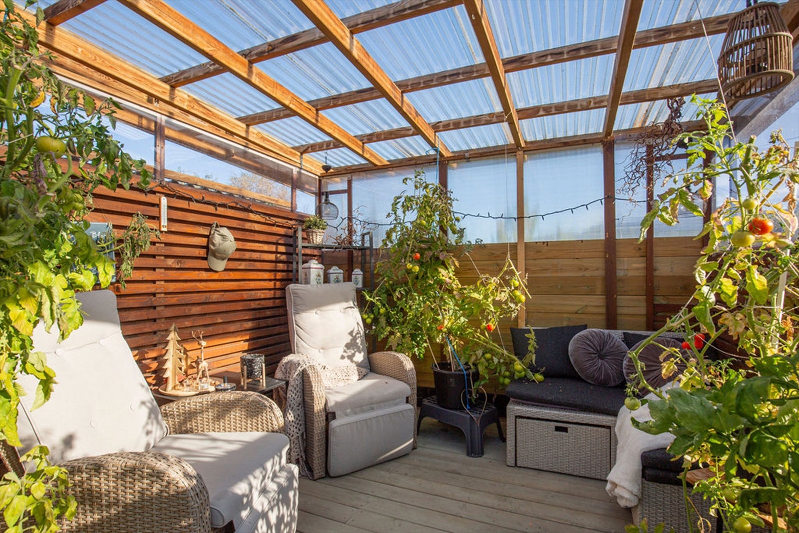 Drivhus Galleribilde