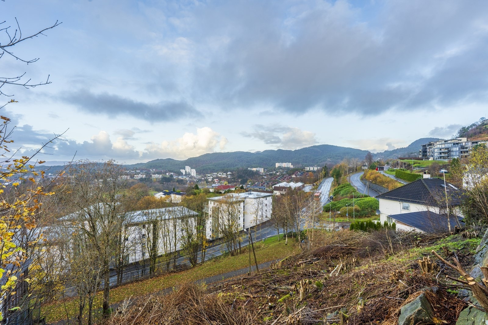 Utsikt fra tomten. Galleribilde