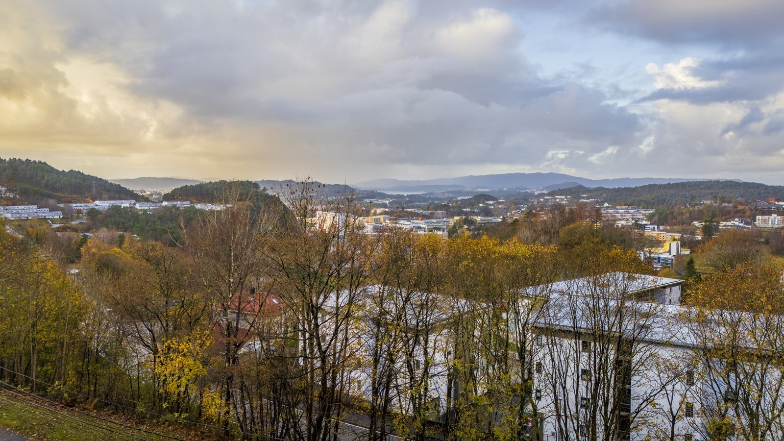 Utsikt fra tomten. Galleribilde