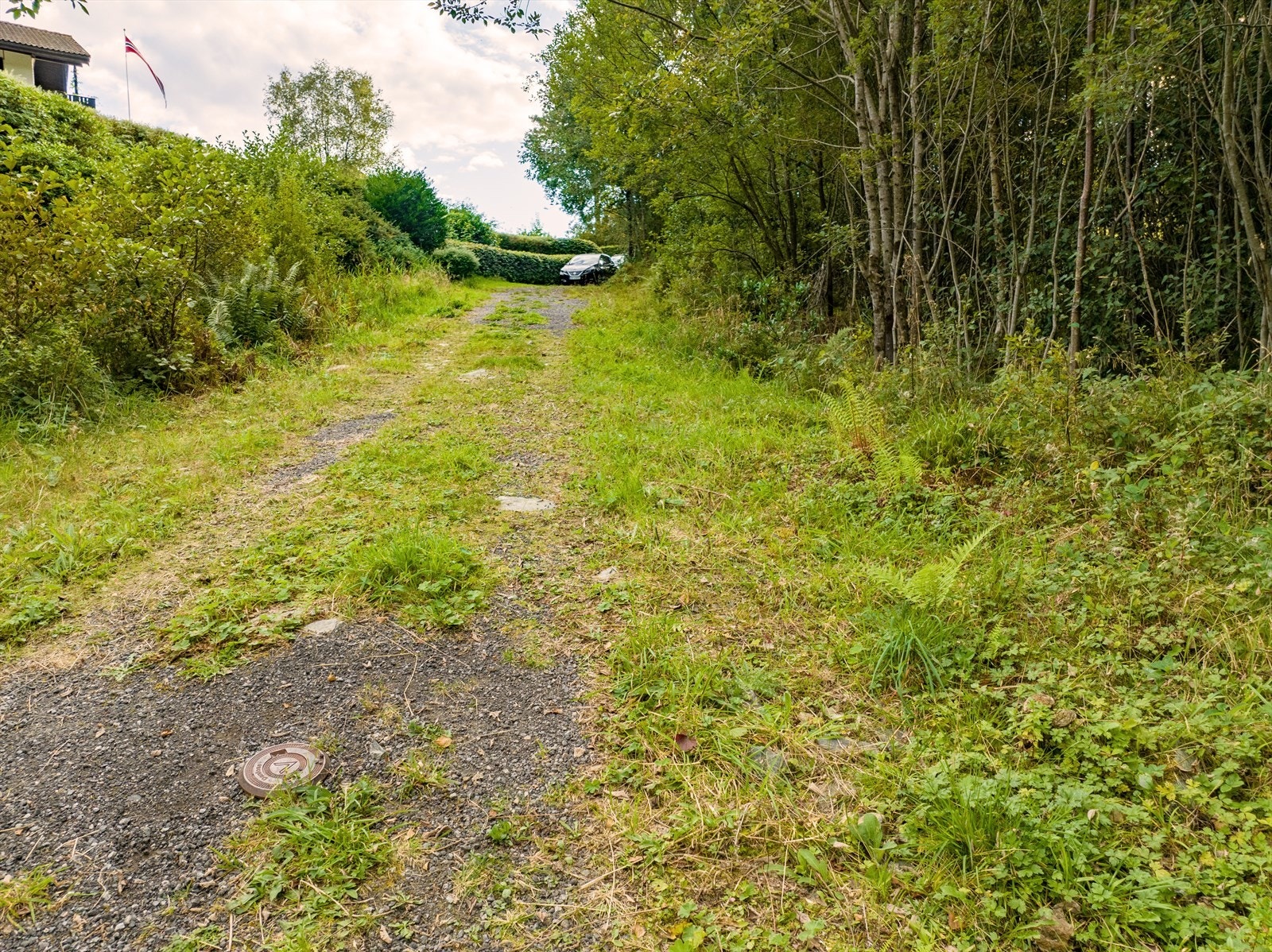 Avkjøringstillatelse til privat skogsvei og videre til privat vei Galleribilde