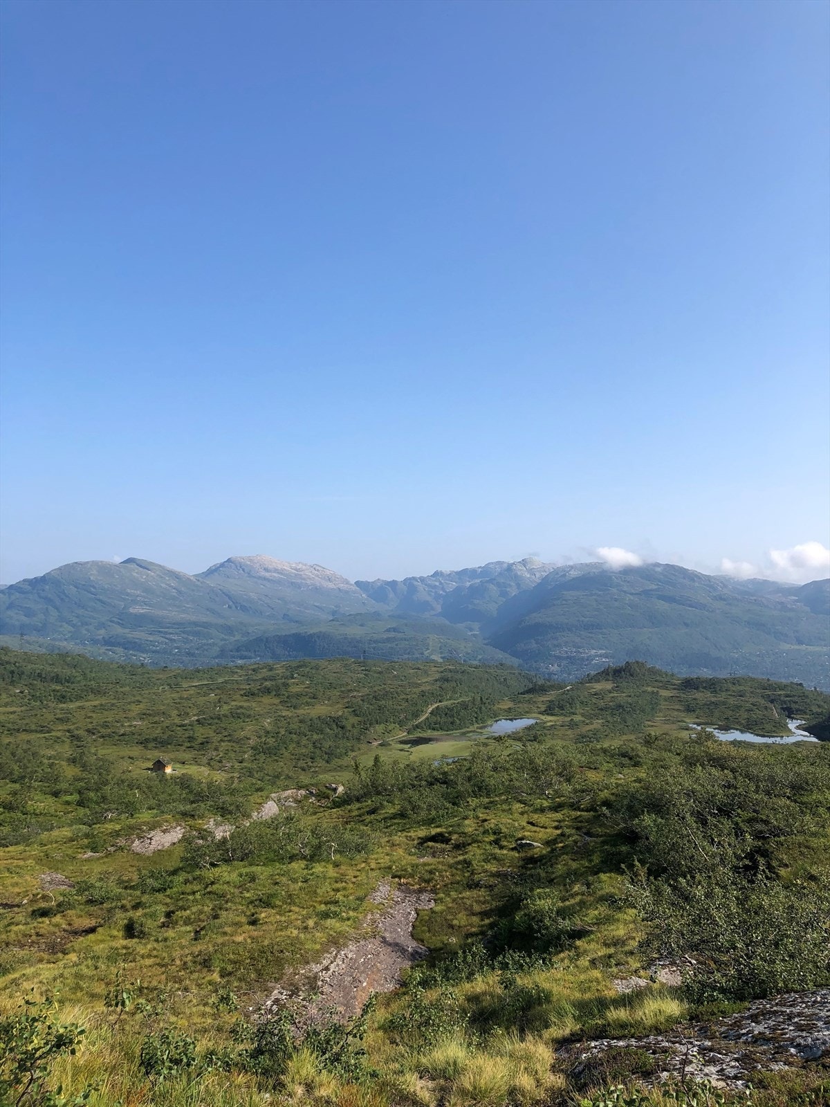 For de turglade trives man svært godt på Kvamskogen, herfra med nydelig utsikt fra Langavatnet retning Byrkjefjell, Steinskvandalen mm Galleribilde
